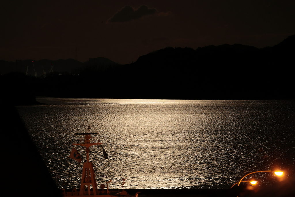 月明かり(3) 240226-669