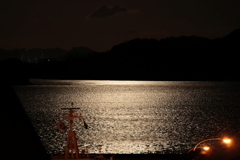 月明かり(3) 240226-669