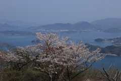 筆影山から (1) 250409-002