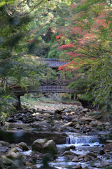 佛通寺(4) 211029-244