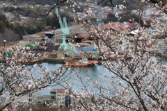 千光寺 (6) 250403-866