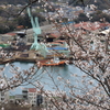 千光寺 (6) 250403-866