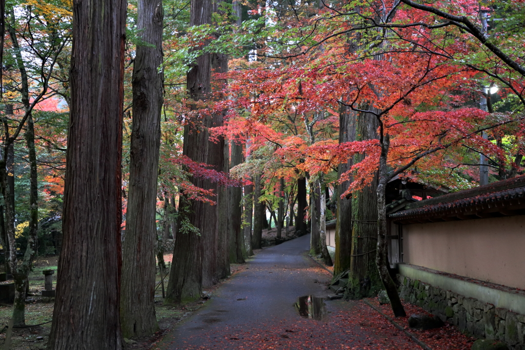 佛通寺 (1) 15.11.09