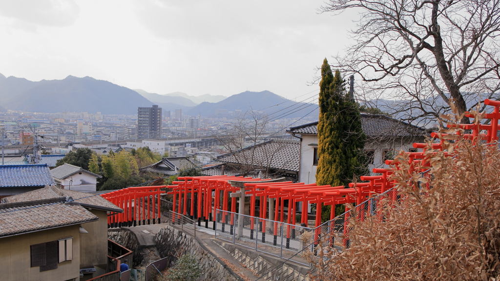 連立鳥居(1) 220113-3533