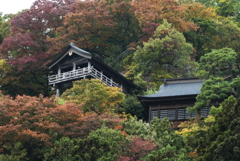 山寺の紅葉 231029-583