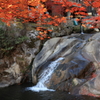 三郎の滝 (2) 211119-439