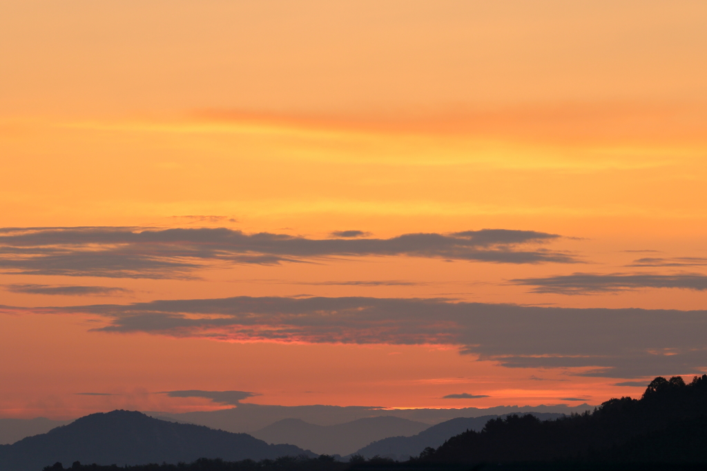 瀬戸内の朝(3)  17.4.25