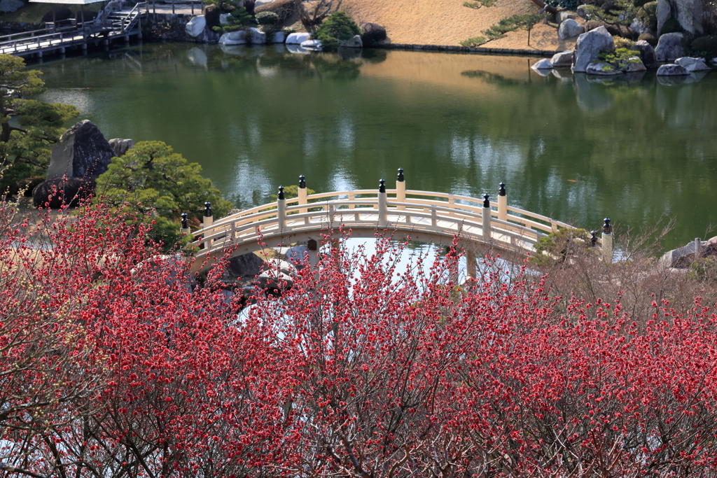 春近し(2) 220308-888 