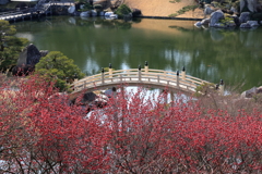 春近し(2) 220308-888 