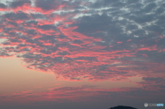夜明けの空 (1) 　15.08.16