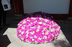 フラワーアート　in 太宰府天満宮(6)