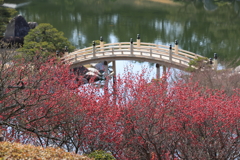 春近し(1)  220308-887