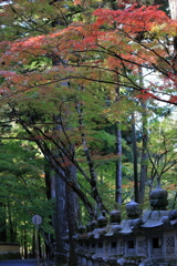 佛通寺(1) 211029-233