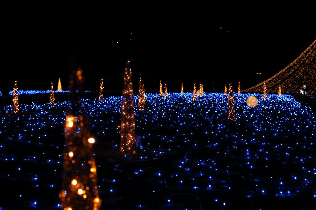 Winter Illumination (4) 15.12.22