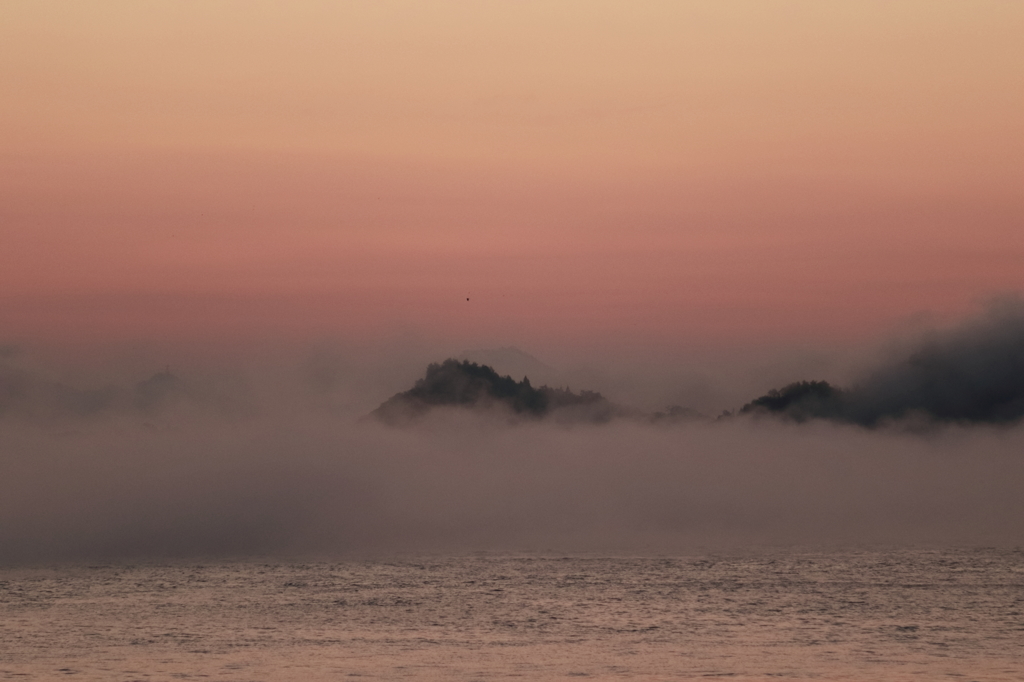 海霧 (5) 14.11.21