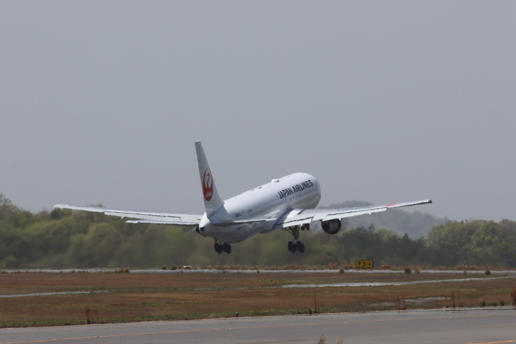 JAL take off 230413-405