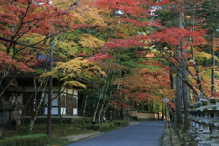 佛通寺(3) 211111-390 