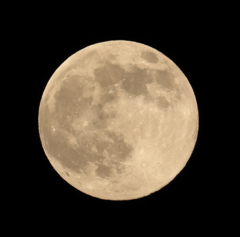 スーパームーン 251105-826