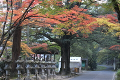 今朝の佛通寺(4) 171106-