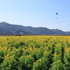笠岡ベイファーム(8) 200211-780