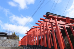 連立大鳥居(3) 240216-042 