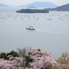 桜の名所、正福寺(4) 17.04.04