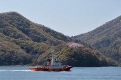 灯台のある島(2) 200407-280 
