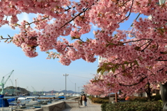 尾道ぶらり旅(3) 200307-090 