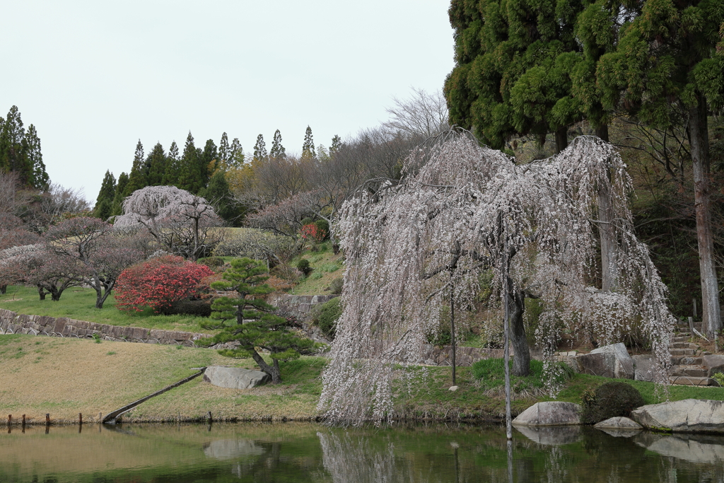 三景園 (2) 250401-859