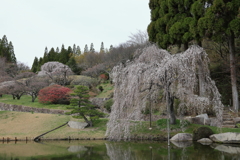 三景園 (2) 250401-859