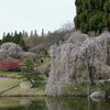 三景園 (2) 250401-859
