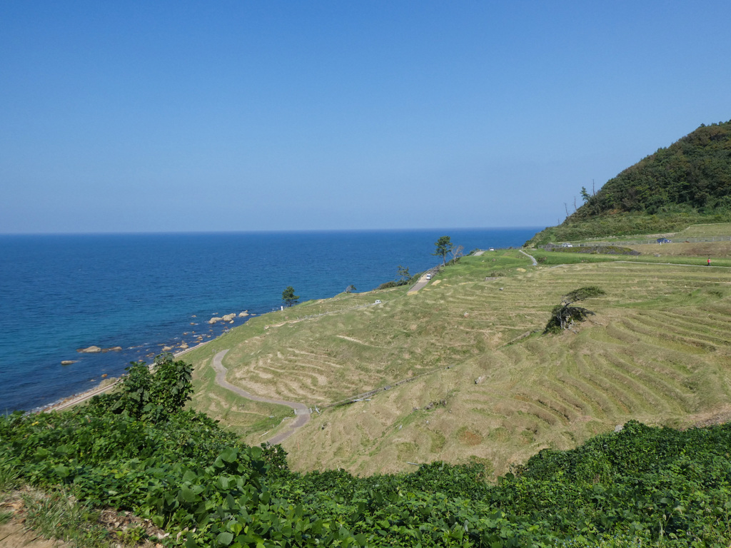 ”絶景！”白米千枚田　190930-191