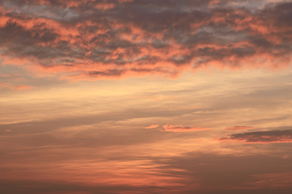 マジックアワー ②