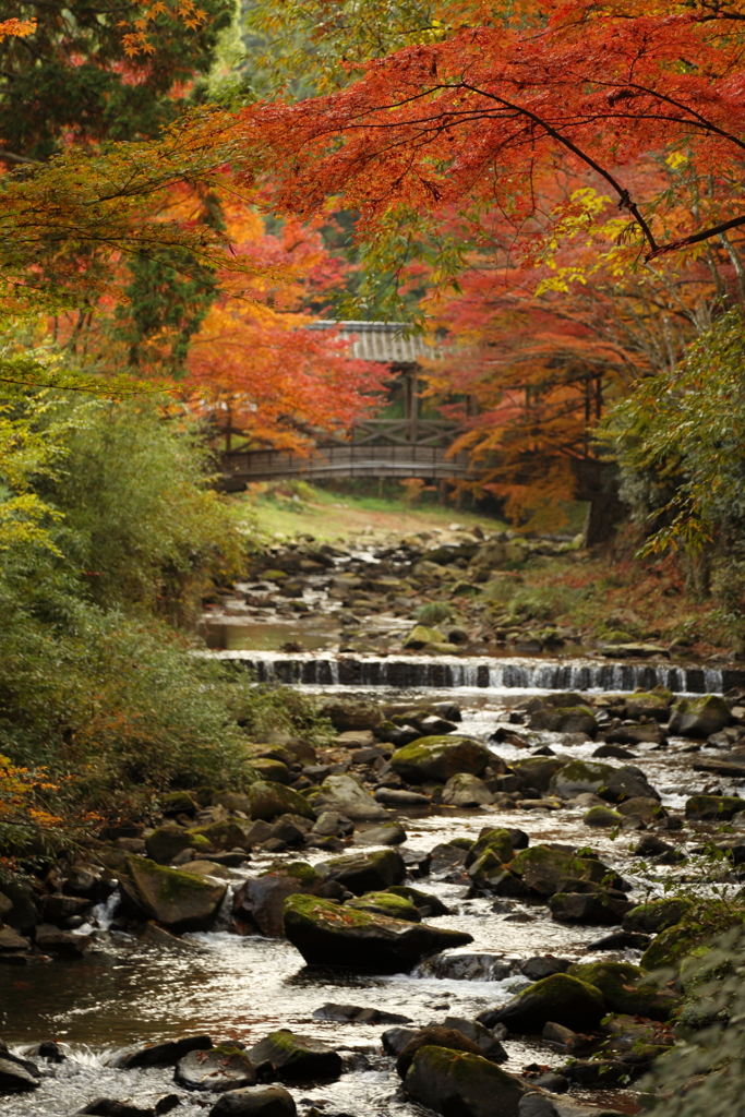 佛通寺(4) 16.11.18