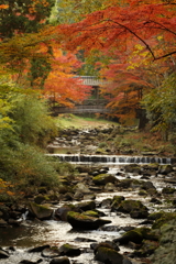 佛通寺(4) 16.11.18