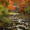佛通寺(4) 16.11.18