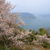 竜王山の桜 (3) 250410-75