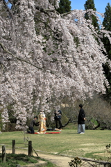 三景園の春(3) 210326-032 