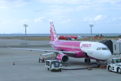 ピーチエアー 250130-876