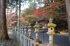 仏通寺 (7) 14.11.10