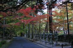 佛通寺(1) 16.11.09