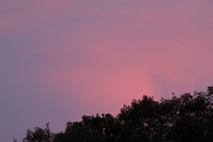 雨上がりの夕焼け 190830-839