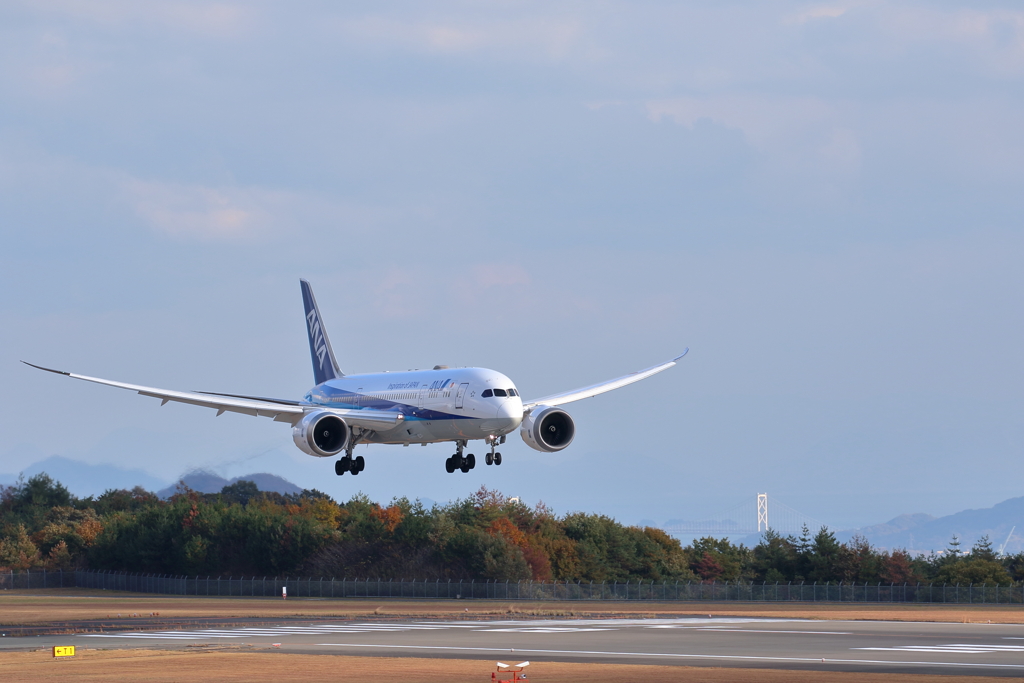 ANA Landing(1) 191119-741