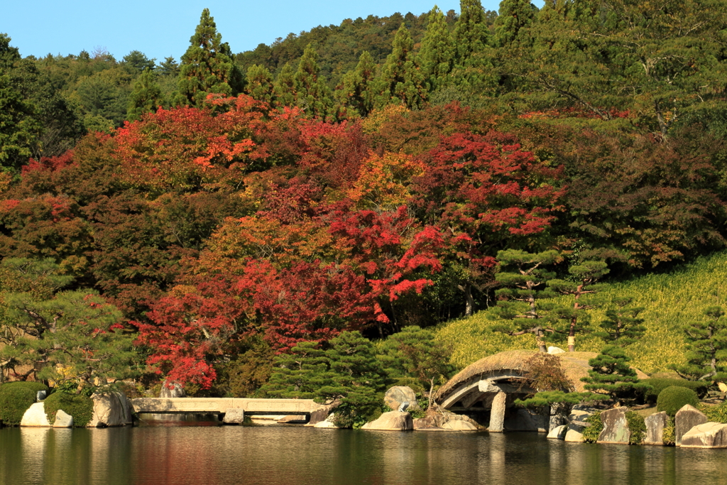 三景園(1)　201030-127
