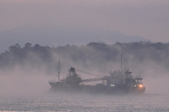 瀬戸内の海霧 (2) 251201-064
