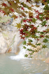 紅葉 in 三郎の滝(1)  181108-058