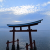 海の鳥居
