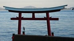 瞑想中かな？(1)　