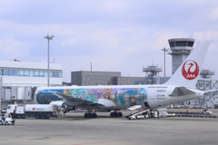 JAL 特別塗装機 250130-675
