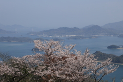 筆影山から (2) 250409-003